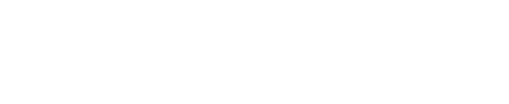 Carina Blom-Poulsen